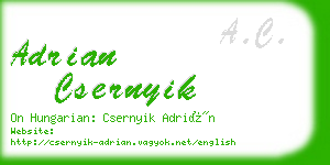 adrian csernyik business card